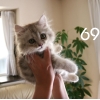 69-027.jpg