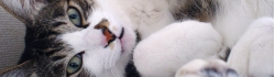 DSC02580.JPG