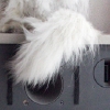 goo-090.jpg