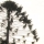 sf-DT-86.jpg