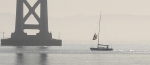 sf-bri-18.jpg