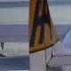 ca-vi-017.jpg