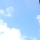 eng-york-12.jpg