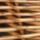 eng-york-29.jpg