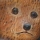 eng-york-49.jpg