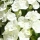 eng-haworth-29.jpg