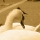 eng-lake-winder-1.jpg
