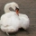 eng-lake-winder-2.jpg