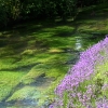 eng-Bibury-20.jpg