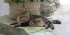 fr-Grenoble-03.jpg