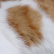 kawaii-002.jpg