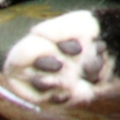 kawaii-010.jpg