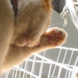 kawaii-025.jpg