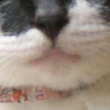 kawaii-029.jpg