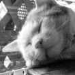 kawaii-042.jpg
