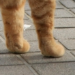 kawaii-082.jpg