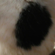 kawaii-086.jpg
