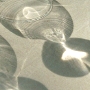 Beigi-bruxell-20.jpg