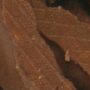 Beigi-bruxell-21.jpg