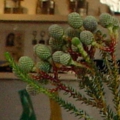 shop-063.jpg