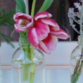 shop-065.jpg