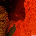 shop-066.jpg