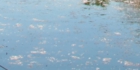 sanpo-002.jpg