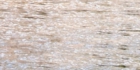 sanpo-003.jpg