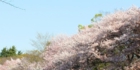 sanpo-005.jpg