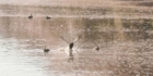sanpo-006.jpg