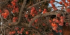 sanpo-011.jpg