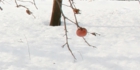 sanpo-012.jpg
