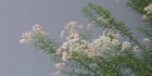 sanpo-017.jpg