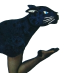 黒ヒョウ.jpg